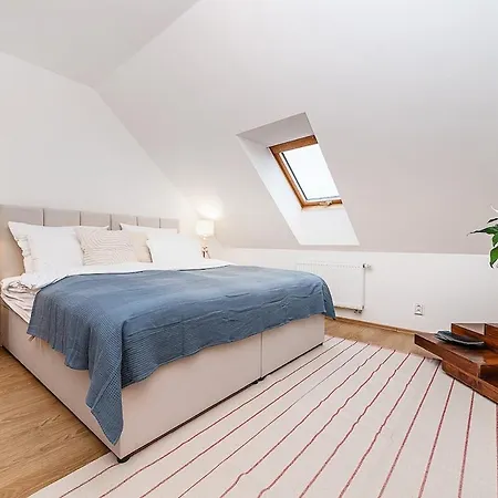 Amazing 3-bedroom And Terrace Overlooking Tv Tower Apartmán Praha