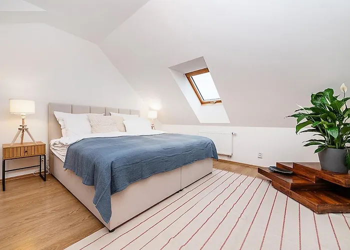 Amazing 3-bedroom&terrace Overlooking Tv Tower Appartement Praag